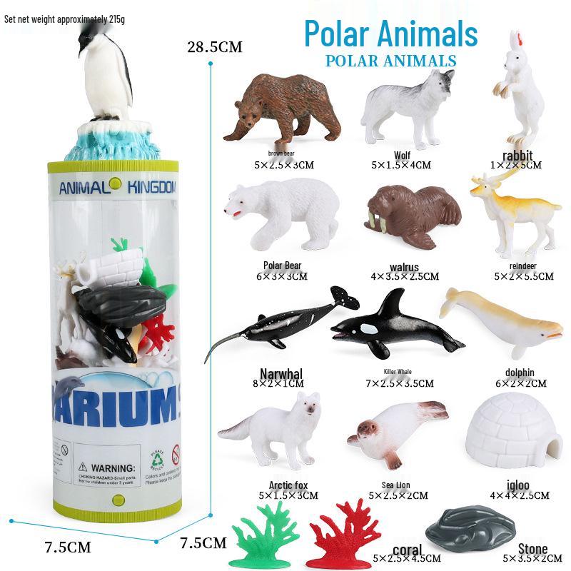 Frog Life Cycle Model Set: Tadpole to Frog Educational Toys for Kids