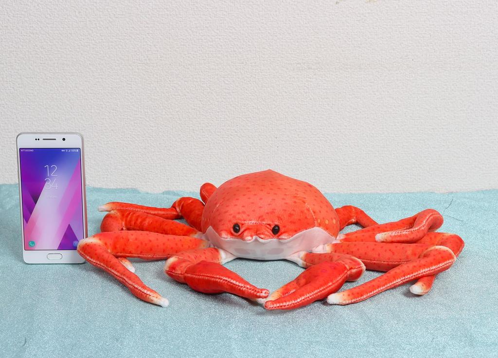 Takeoff Plush Toy: Sea, Fish, and Crab