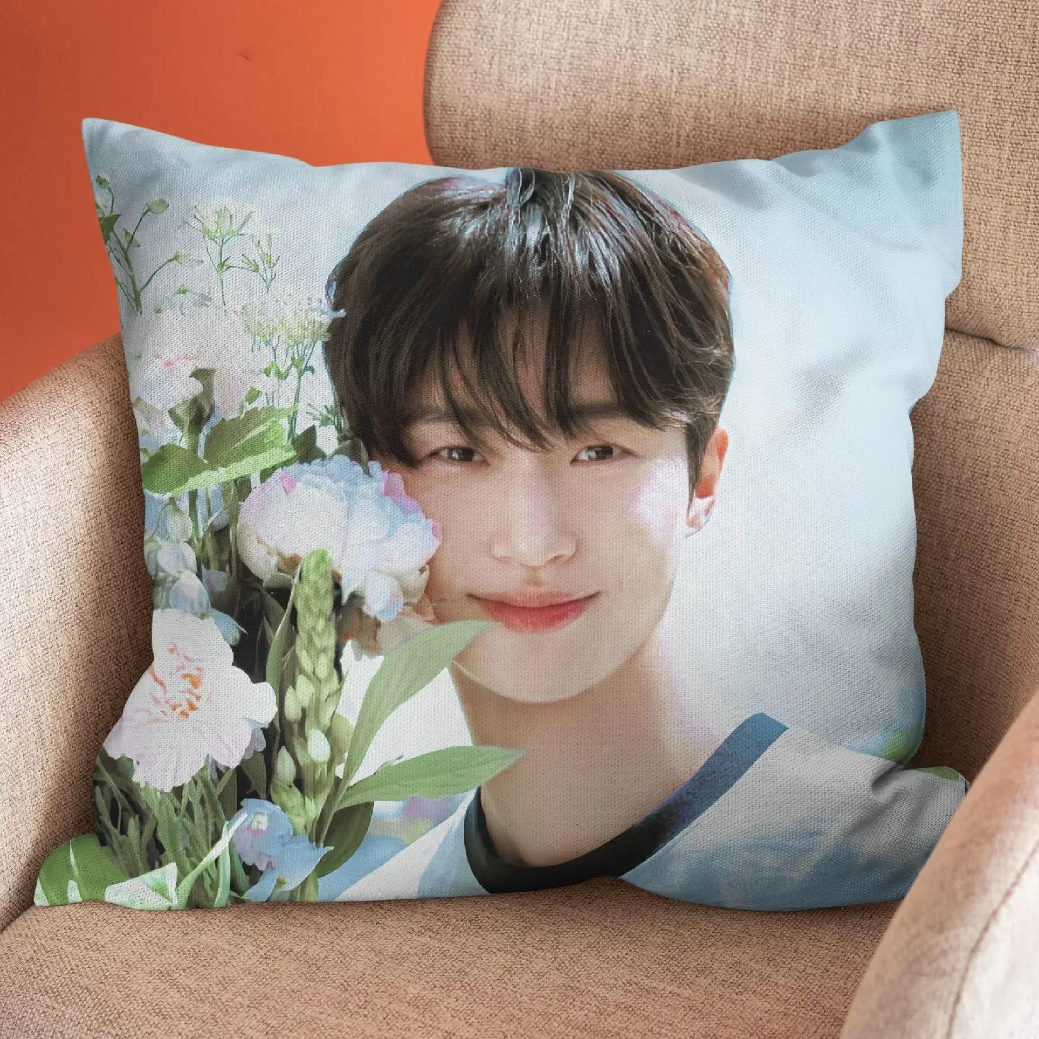 Byeon Wooseok funda de almohada del mismo estilo, fund encantador, regalo de cumpleañosL,(2) 66x66cm