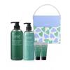 Hairplus Off Fresh Oily Scalp Shampoo Cool Care Gift Set  Hair Loss Relief Function 