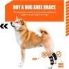 Adjustable Dog Rear Leg Hock Brace Breathable Reflective Design Dog Arthritis Protector Shock-Absorbing Soft Lining