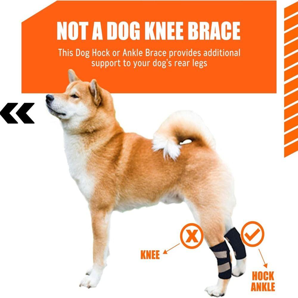 Adjustable Dog Rear Leg Hock Brace Breathable Reflective Design Dog Arthritis Protector Shock-Absorbing Soft Lining