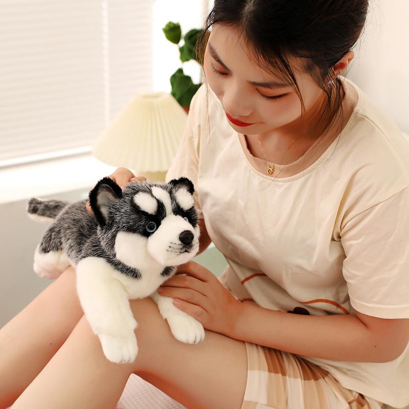 Simulation Pet Husky Corgi Plush Toy Cute Cartoon Animal Labrador Stuffed Doll Home Decor Gifts For Girl