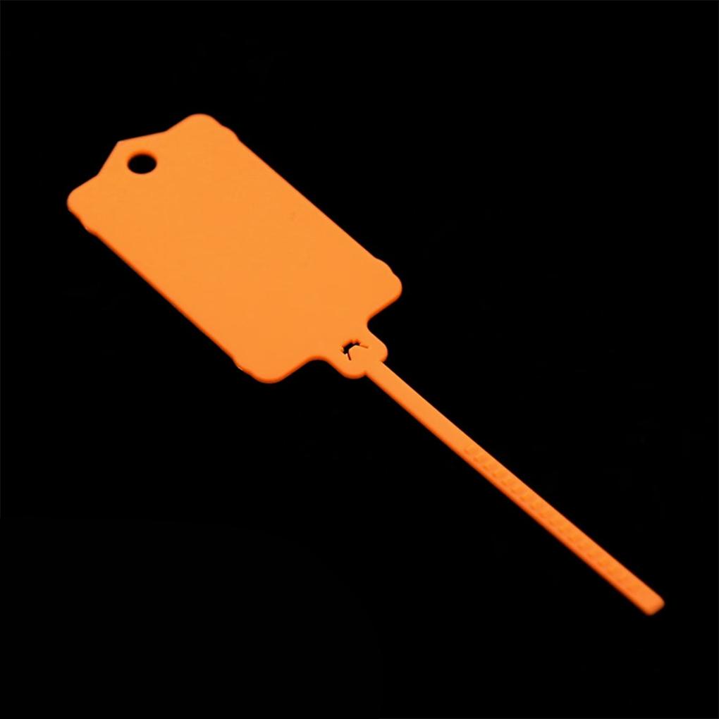 100x Tag Key Tags Durable And Reliable Reusable Plastic Straps For Various Uses Ties Key Tags