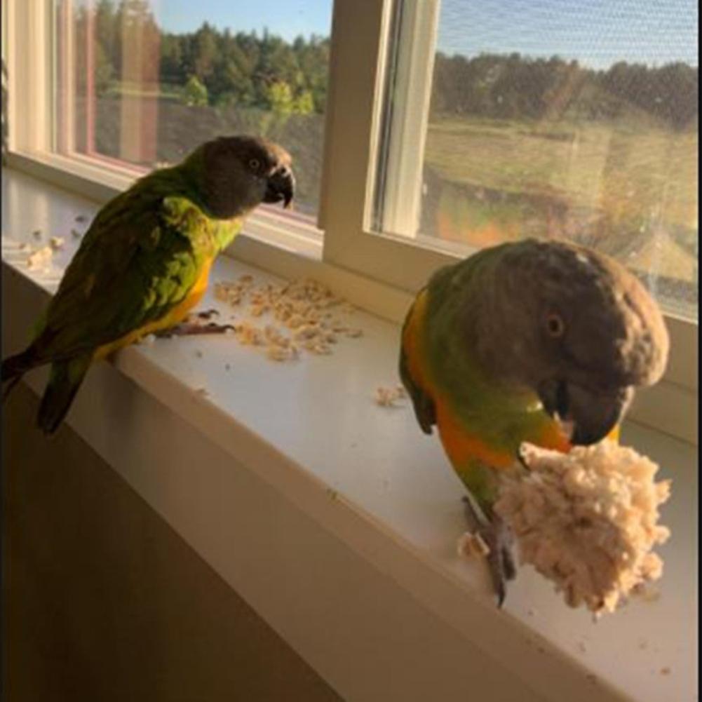 Naturalne Kule Sola Miękkie Gryzienie Zabawka Do Żerowania Dla Ptaków Królików Szynszyli Chomików Świnek Morskich