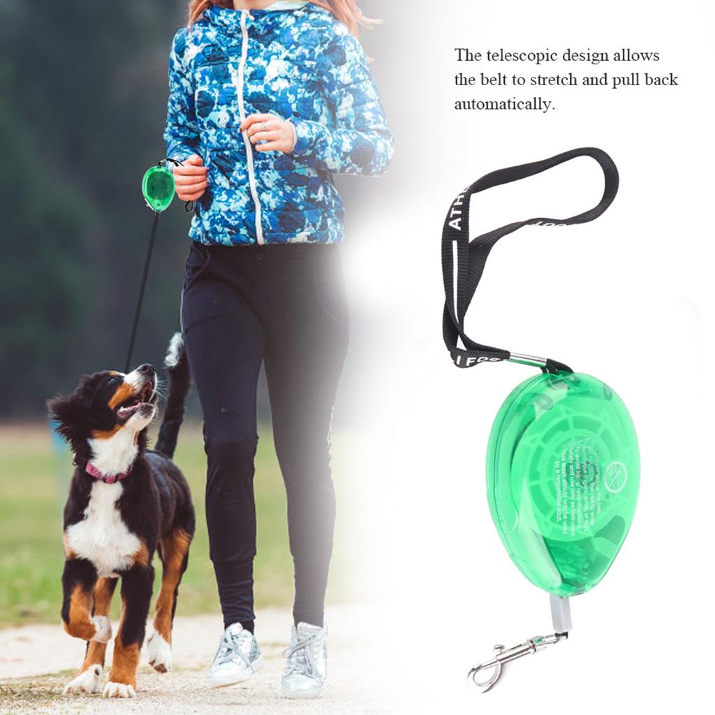 Small and Medium Dog Collar Automatic Retractable Dog Leash Puppy Traction Chain (Green)