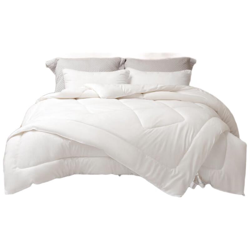 

Mercury Home Textiles Snow Shadow Antibacterial Two-in-One Fiber Quilt