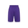 Nike Casual Shorts Men's Purple CQ4365-546