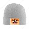 Pomeranian Puppy Bonnet Hat Cool Knitting Hat Men Women Unisex Adult Spitz Pom Dog Winter Warm Skullies Beanies Caps
