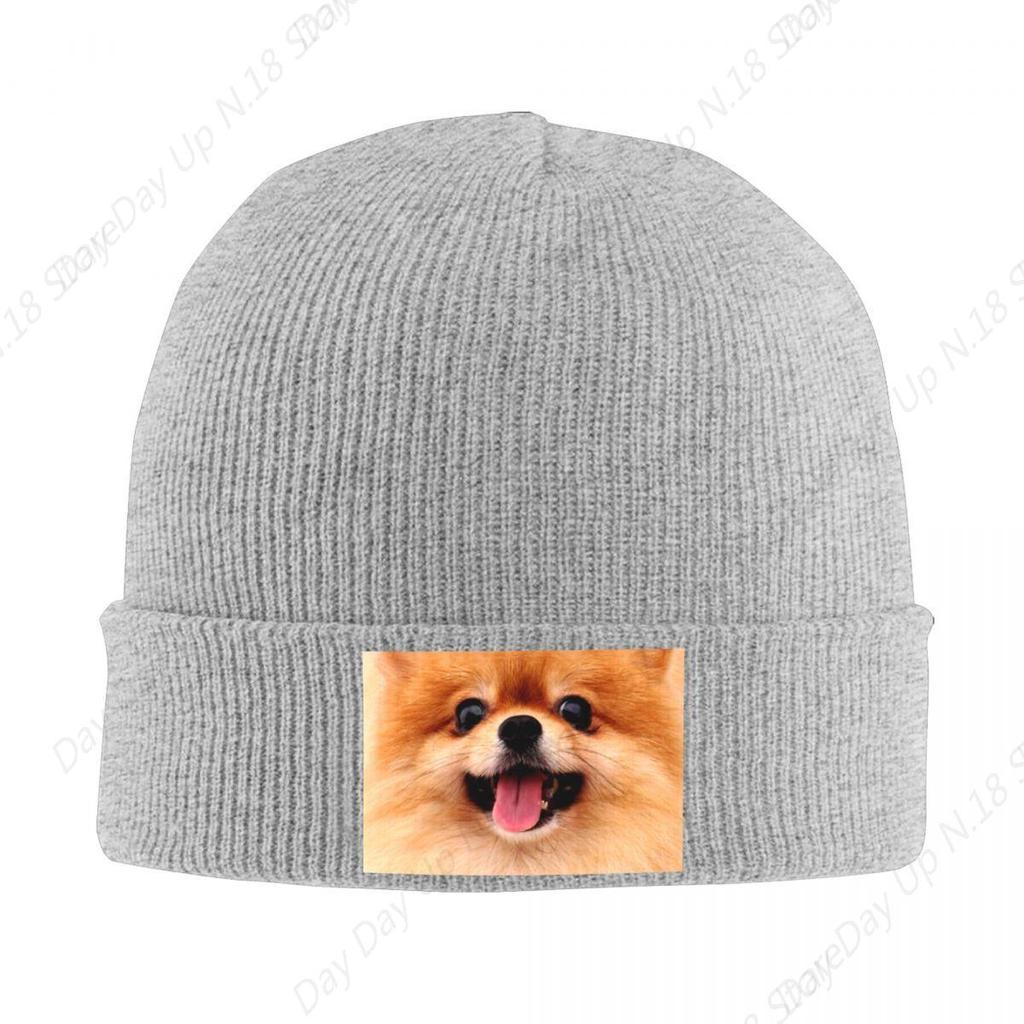 Pomeranian Puppy Bonnet Hat Cool Knitting Hat Men Women Unisex Adult Spitz Pom Dog Winter Warm Skullies Beanies Caps
