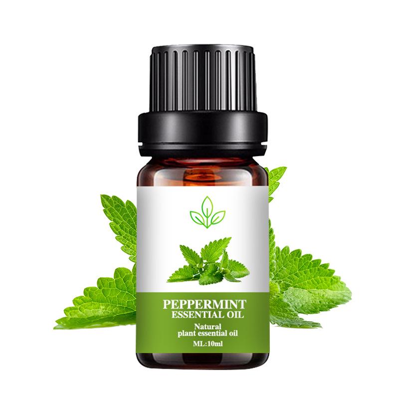Rose Essential Oil - 10ML Aromatherapy Perfume Oil with 27 Fragrances