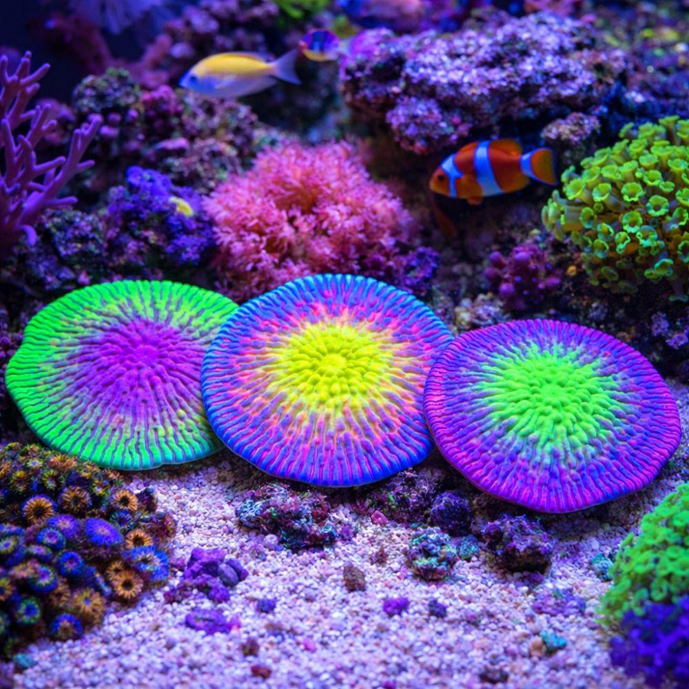 Decorative Realistic Silicone Coral Plant Fluorescence Non-Toxic Luminous Coral Colorful Simulation Coral Home Ornaments