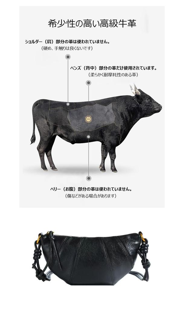 Whatna Natural Cowhide Leather Shoulder Bag for Small Messenger Business Fits iPad Horizontal Genuine Crossbody Cycling Size 267 Women, Bag, Bag,