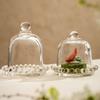 Clear Glass Cake Stand with Bell Jar Cover Dessert Serving Tray Accessories for Pastries and Fruits