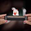 Digalun Lucky Cat Temporary Parking Number Plate