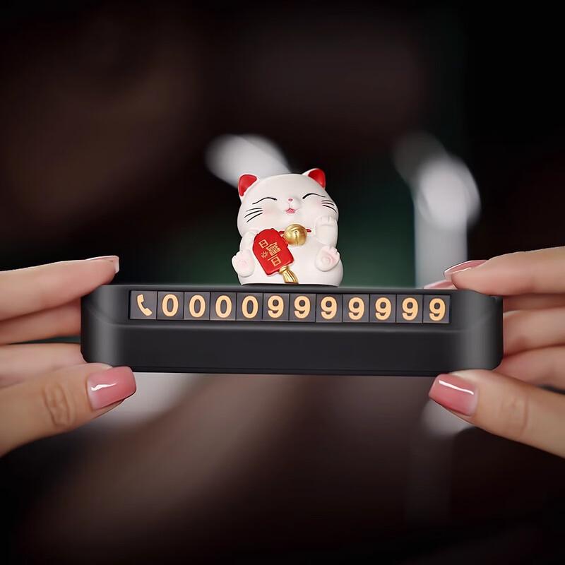 Digalun Lucky Cat Temporary Parking Number Plate