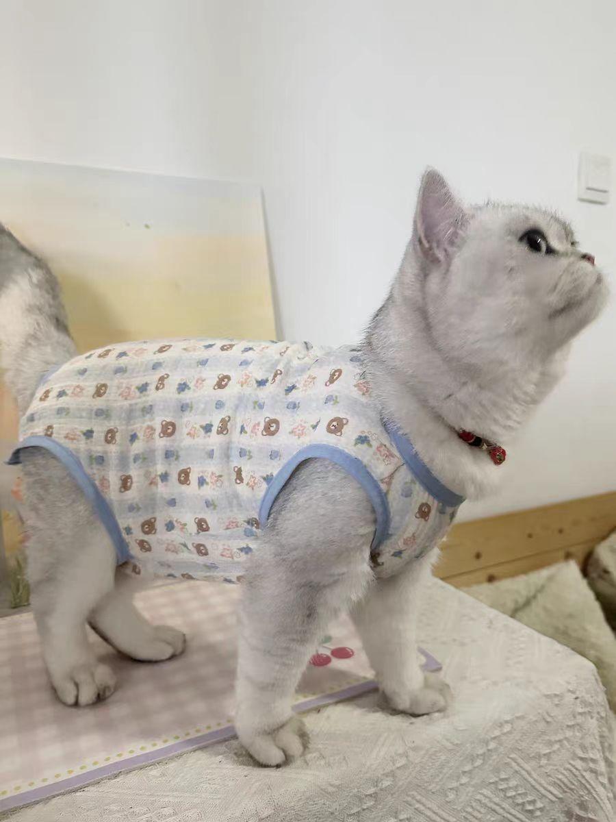 

Одежда для ухода за животом кошки против шерсти Кастрация котят Отлучение от матери-кошки Хлопок Зимняя хирургия Теплая осенняя и зимняя одежда XS