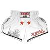 Pantaloncini MMA Pantaloni da Allenamento Boxe Muay Thai Kickboxing UFC Sparring Palestra Abbigliamento Fitness Sublimazione Compressione