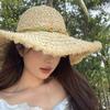 Flower Rose Decoration Raffia Straw Hat for Women Summer Large Brim Sun Hat Seaside Atmosphere Elegant Wedding Hat