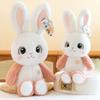 Adorable Yaya Rabbit Plush Toy For Girls Soft Pillow Cushion Gift For Kids 60cm
