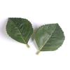 Green Plant Leaf Wedding Wrist Corsage & Hat Decoration