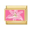 New Vintage Golden Charm Strawberry Heart Flower Bow Cat Dog Italian Charm Links Fit 9MM Stainless Steel Bracelet DIY Making