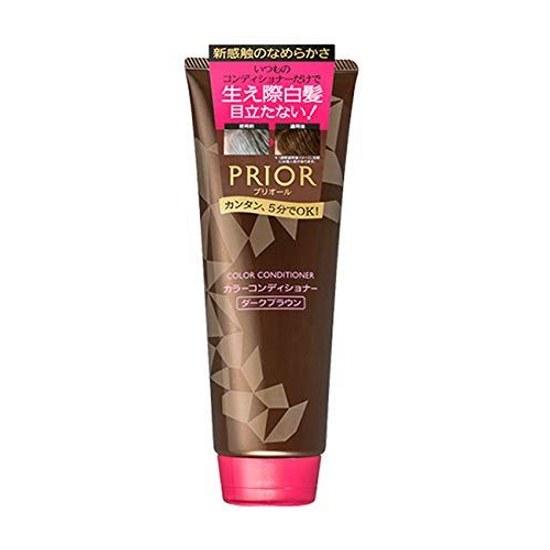 Shiseido Priori Color Conditioner N Dark Brown 230g