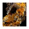 Pierres et Minéraux. Wulfenite. 2550.5 ct. Los Lamentos Mts, Chihuahua, Mexique.
