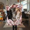 1pz Coperta in Flanella con Nome Personalizzato e Motivo Nido Accogliente per Gatti Adatta a Tutte le Stagioni per Arredamento Casa Calore e Comfort Regali Regalo Festivo_lx