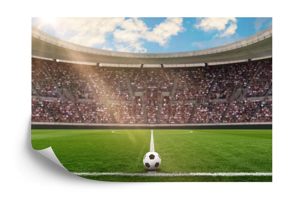 Photomural Soccer Stadium Structural Vinyl 450x300