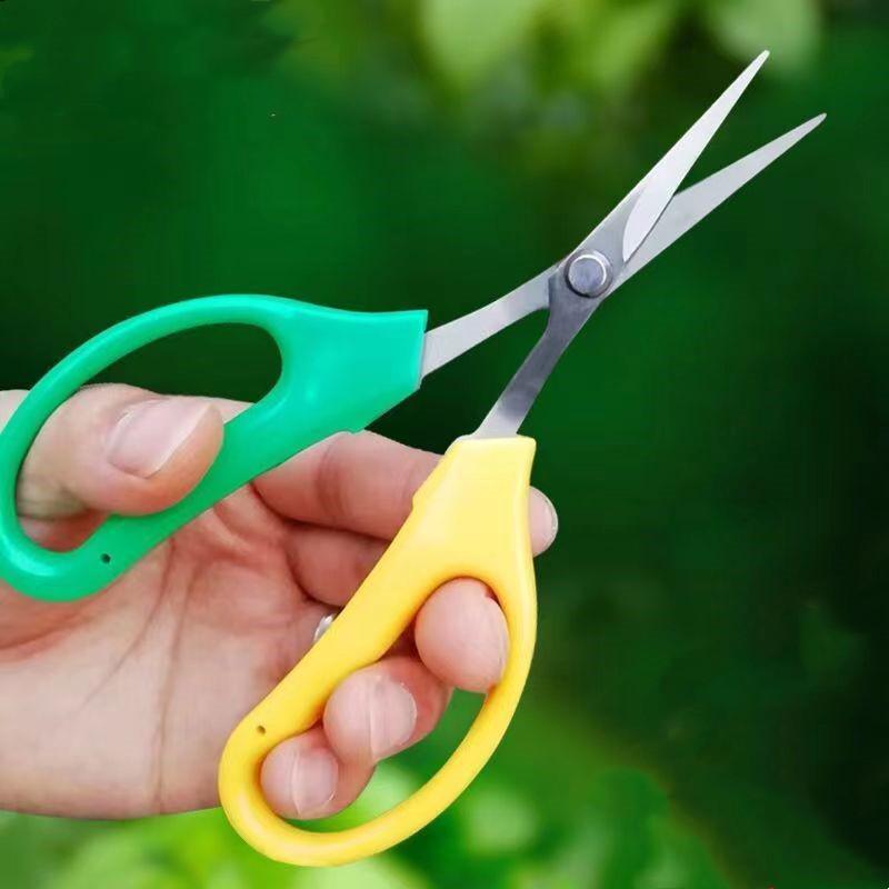 Edelstahl Obst- und Gartenschere