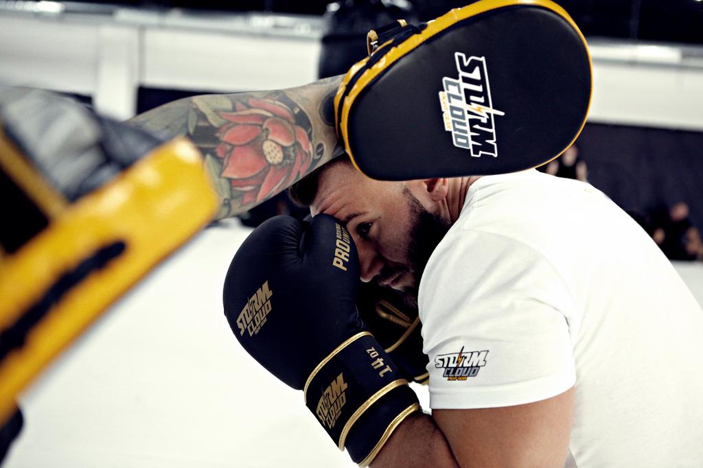 StormCloud Boxing Pro Echte Leder Boxhandschuhe Schwarz/Gold 12oz