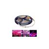 Premium Quality Led Grow Lights Waterproof Growing Led Strip For Seedlings And Greenhouse