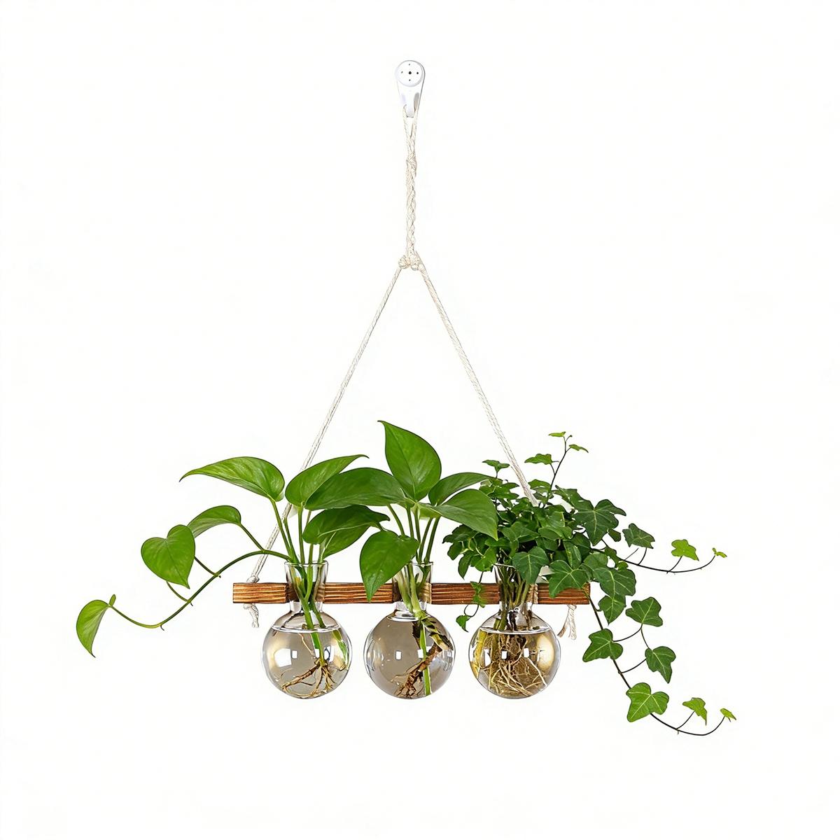Wall Mounted Hydroponic Vase Flower Arranger Wall Decoration