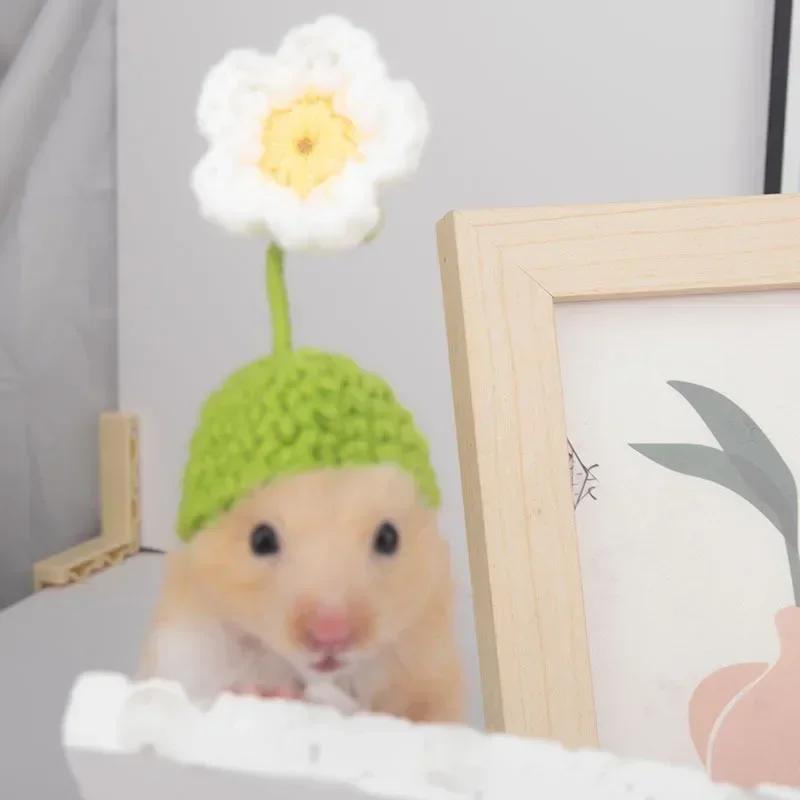 

Hamster Hat Guinea Pigs Assessories Small Animals Decor Hand Knitted Pet Hats Lizard Bird Rabbit Party Clothes Costume Pet Caps