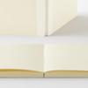 DESIGNPHIL MIDORI MD Notebook Blank B5 - Premium Unruled Japanese Paper, Item No. 15384006