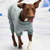 MUNIKUND Angle Fleece All In One - Emerald