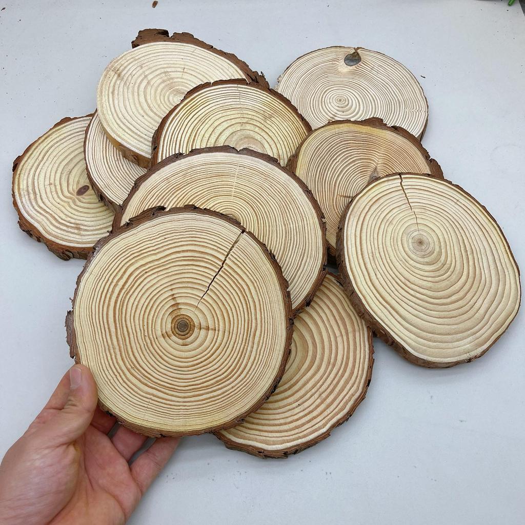 DIY Hand-Painted Wooden Slices for Crafts and Kindergarten Decor – Small Natural Wood Pieces with Growth Rings