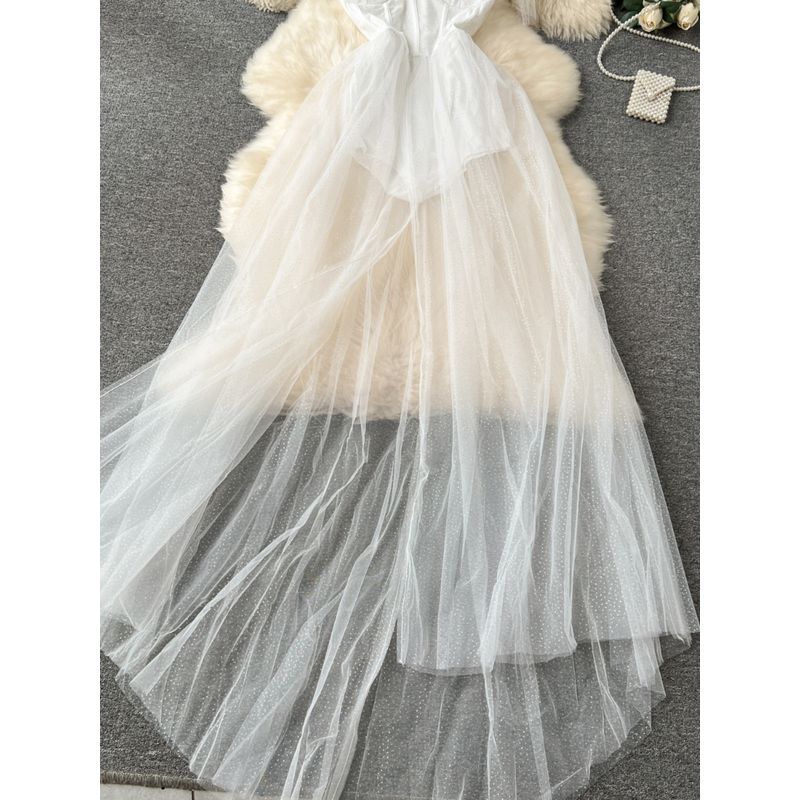 Fairy Mesh Sling Stylish Dress Dress