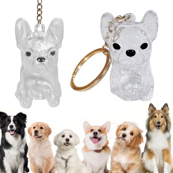 Dog Hair Collector Charm Keychain Transparent Pet Fur Keepsake Capsule Rabbit Memorial Pet Hair Collection Bottle Charm with Keyring Gift for Pet
