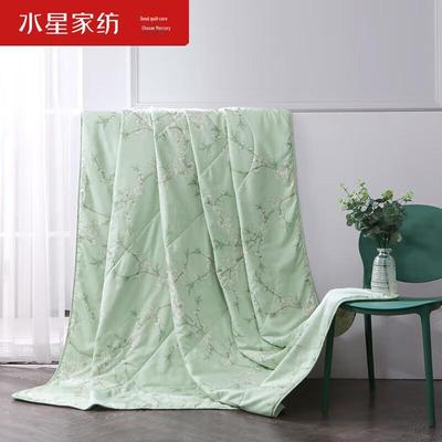 Mercury Home Textiles Fangfei Antibacterial Summer Quilt