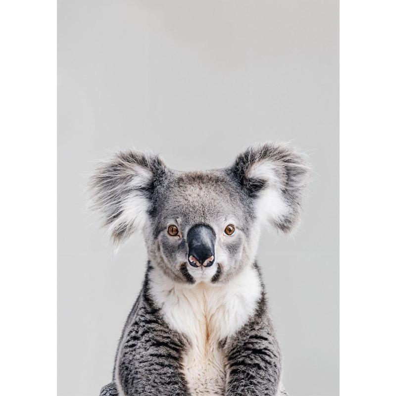 

Милый малыш животное настенное искусство холст картина печать лев лиса кошка холст детский постер детская скандинавские дети детская спальня декор без рамы 21cm×30cm NoFrame