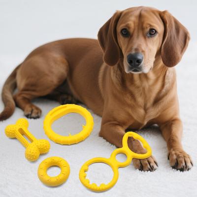 Cani – Giocattoli per cani