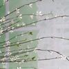 Artificial   Branch Lifelike Decorative Plastic Easy to Clean Artificial Fake   for Home Dorm