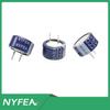 NYFEA Super Farad Capacitor 5.5V 0.1/0.22/5F Car Start Assist