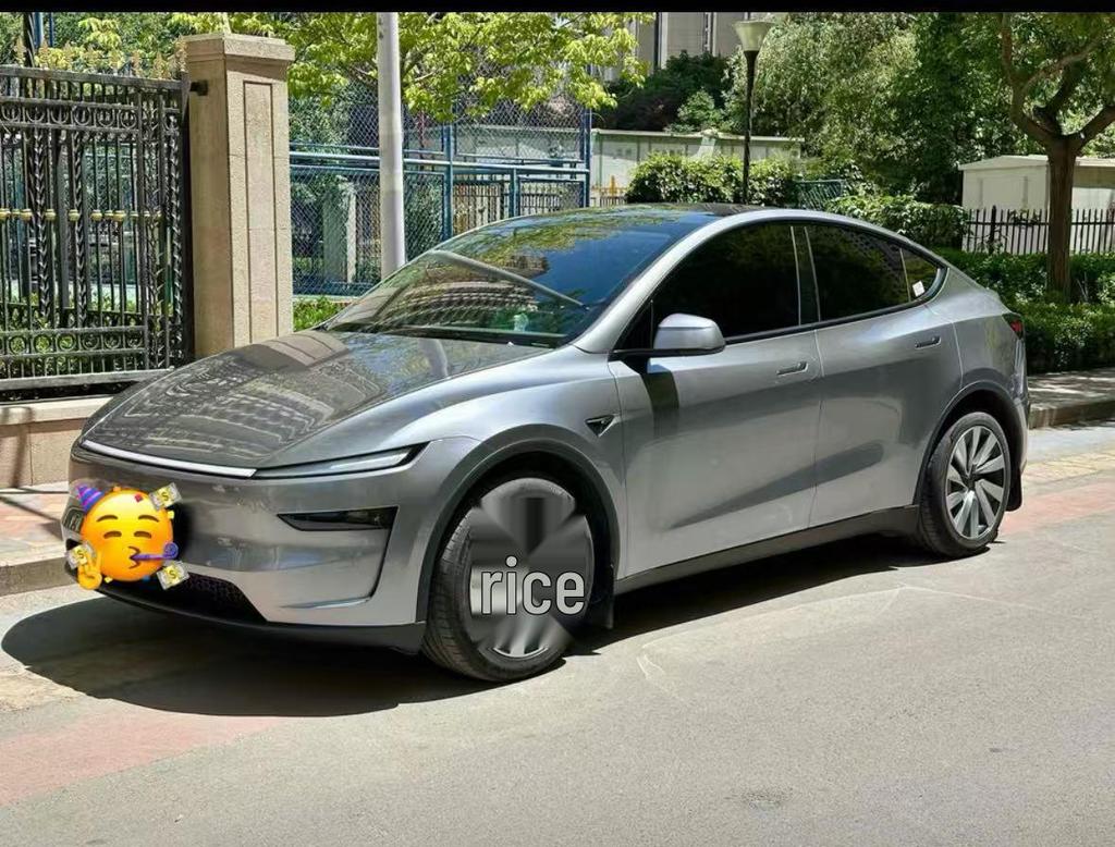 19-Inch Wheel Rim Protection Covers for 2025 Tesla Model Y Refresh Edition