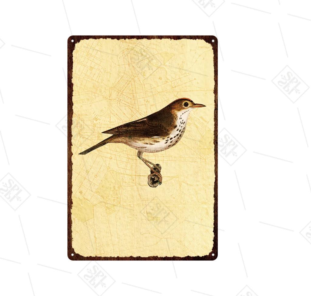 Animal Metal Sign Vintage Forest Park Doorplate Cat Bird Metal Tin Plate Fishing Plaque Bar Wall Sticker Farm Home Decoration