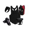 Binfu Boxing & Sanda Training Protective Gear Set