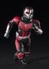 TAMASHII NATIONS Wasp 150mm ABS PVC articulated S.H.Figuarts Ant-Man & Ant-Man (approx. tall, & painted, figure)