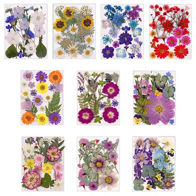 Autocollants de fleurs séchées pressées, 1 sac, pour étui de téléphone, fabrication de bijoux, artisanat, décoration pour Nail Art, DIY bricolage